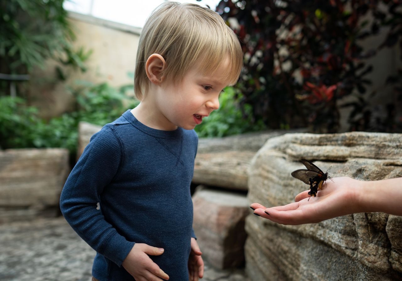 ButterflyConservatory